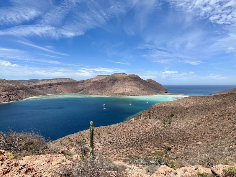 A few weeks on the Baja Sea