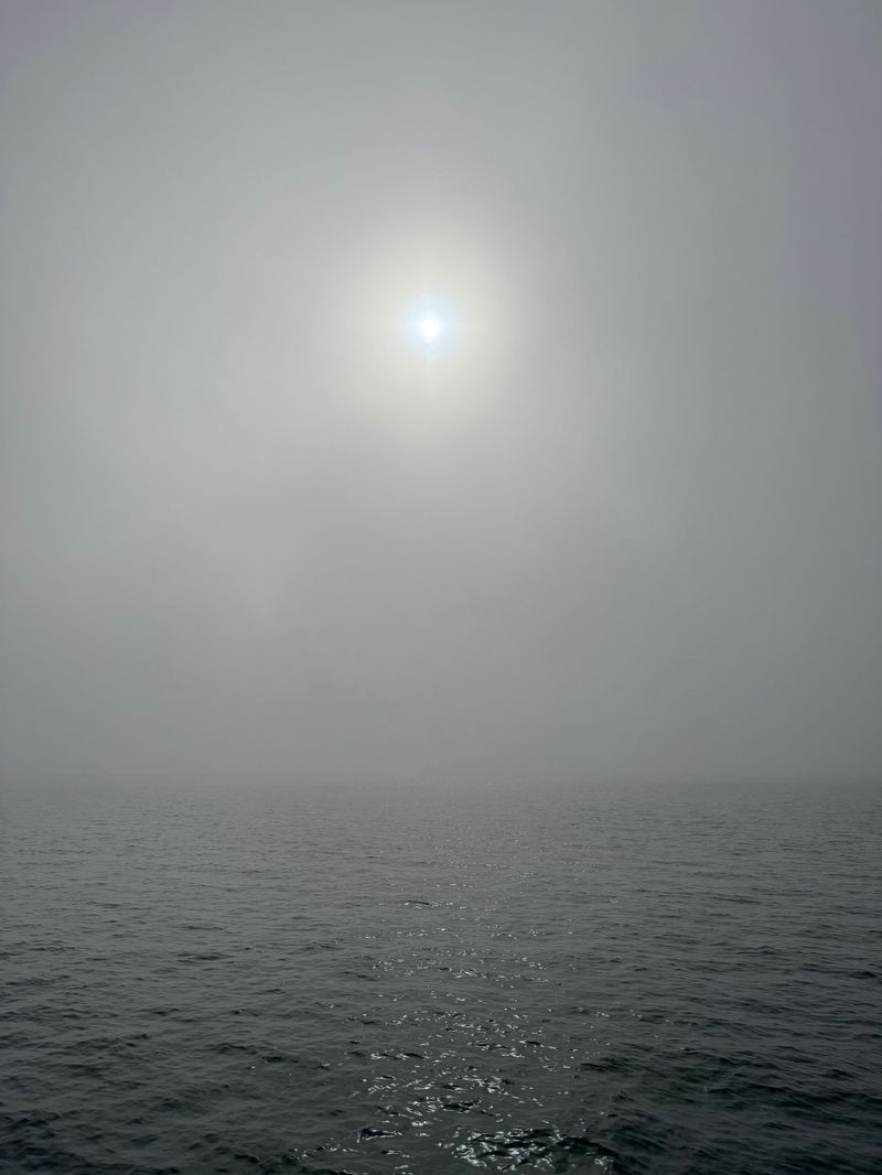 “The Sea… holds one in its net of wonder forever.”