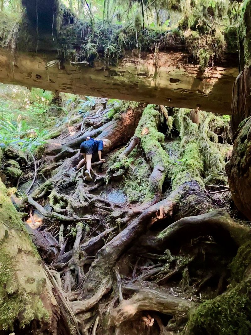 It really is a tough hike to the top