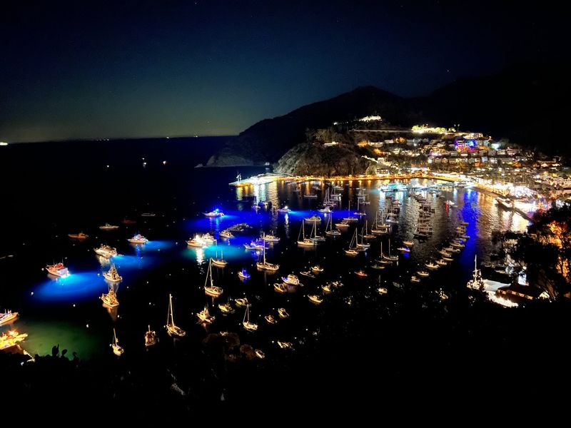 Avalon Harbor from the Bell Tower