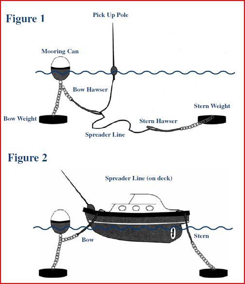 image courtesy:  Pacific Coast - Baja Bound: Relaxation on Catalina Island (llcruise2.blogspot.com)