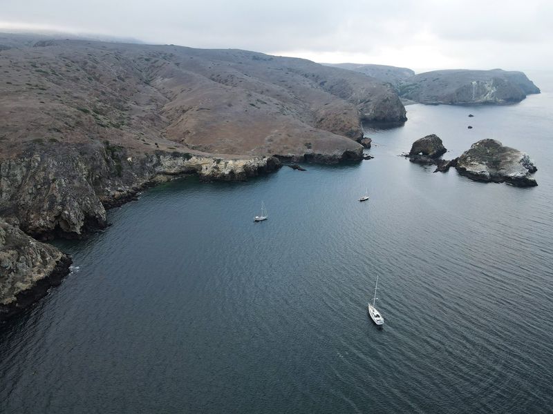 Eventide enjoying Little Scorpion for the second time.