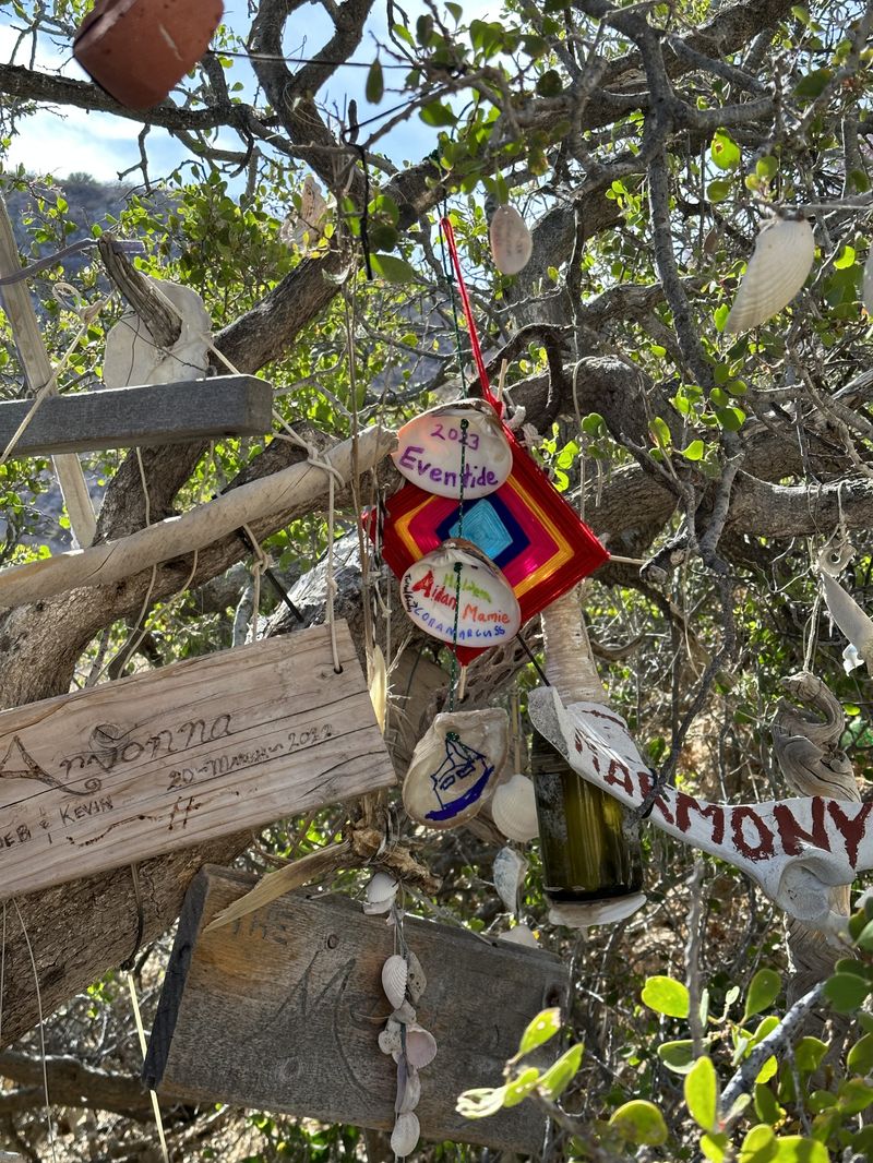 Eventide’s addition to the Cruisers’ Shrine