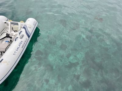 Just over 20 feet to the bottom here. Amazingly clear.