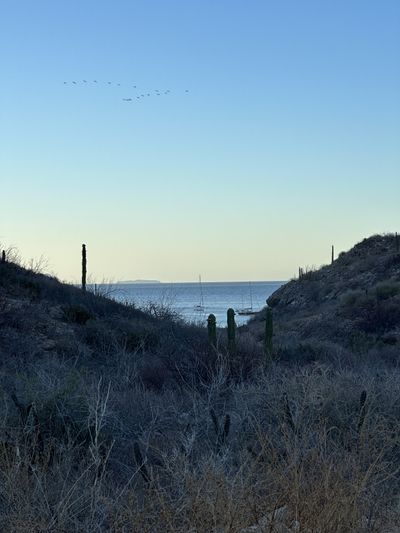 La Ramada, Guidebooks, and Anchoring