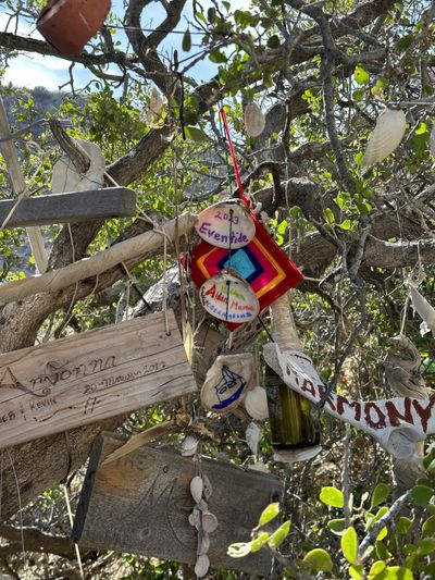 Eventide’s addition to the Cruisers’ Shrine
