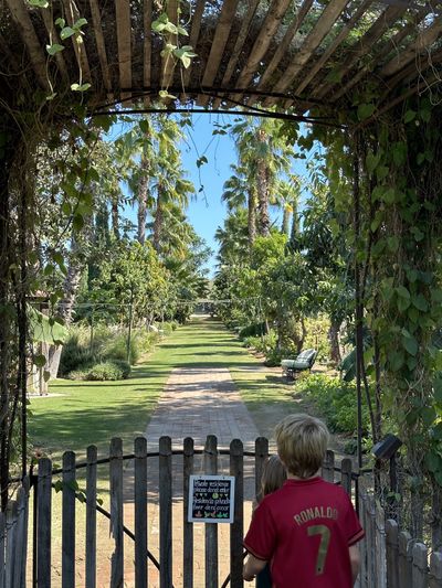 Holden gazing at one of the many paths at Flora Farms