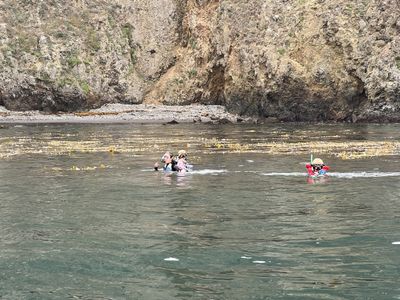 Snorkeling in Cathedral Cove